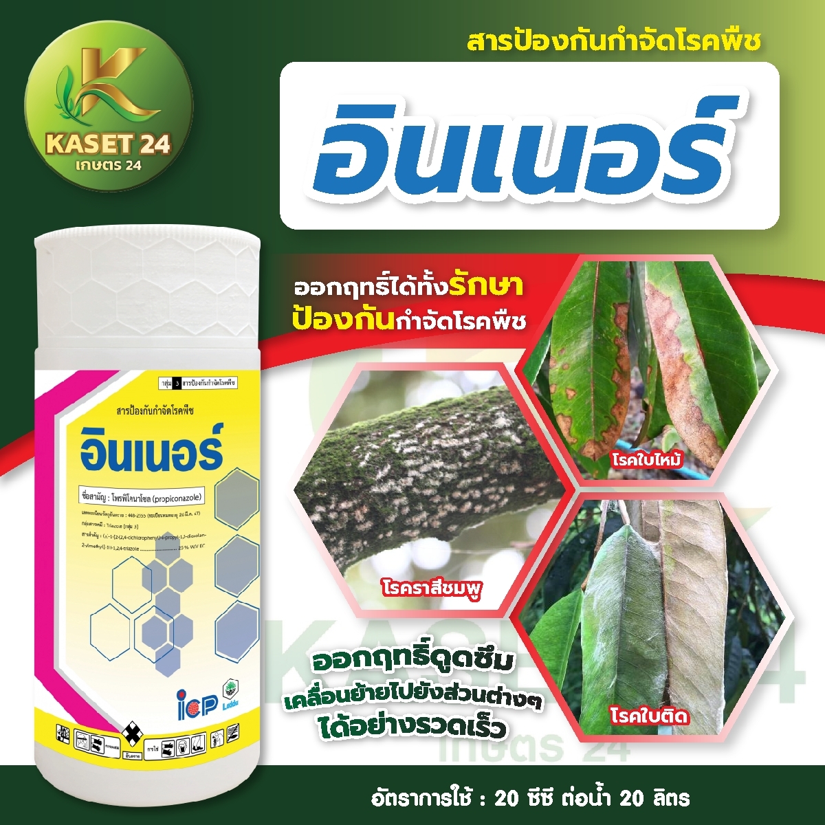 ยากำจัดเชื้อรา อินเนอร์ (โพรพิโคนาโซล) กำจัดโรคแอนแทรคโนส ใบจุด ใบไหม้ ใบติด ราแป้ง ราสีชมพู (ขนาด 1 ลิตร) ส่งฟรีเก็บเงินปลายทาง (ไม่บวกเพิ่ม)