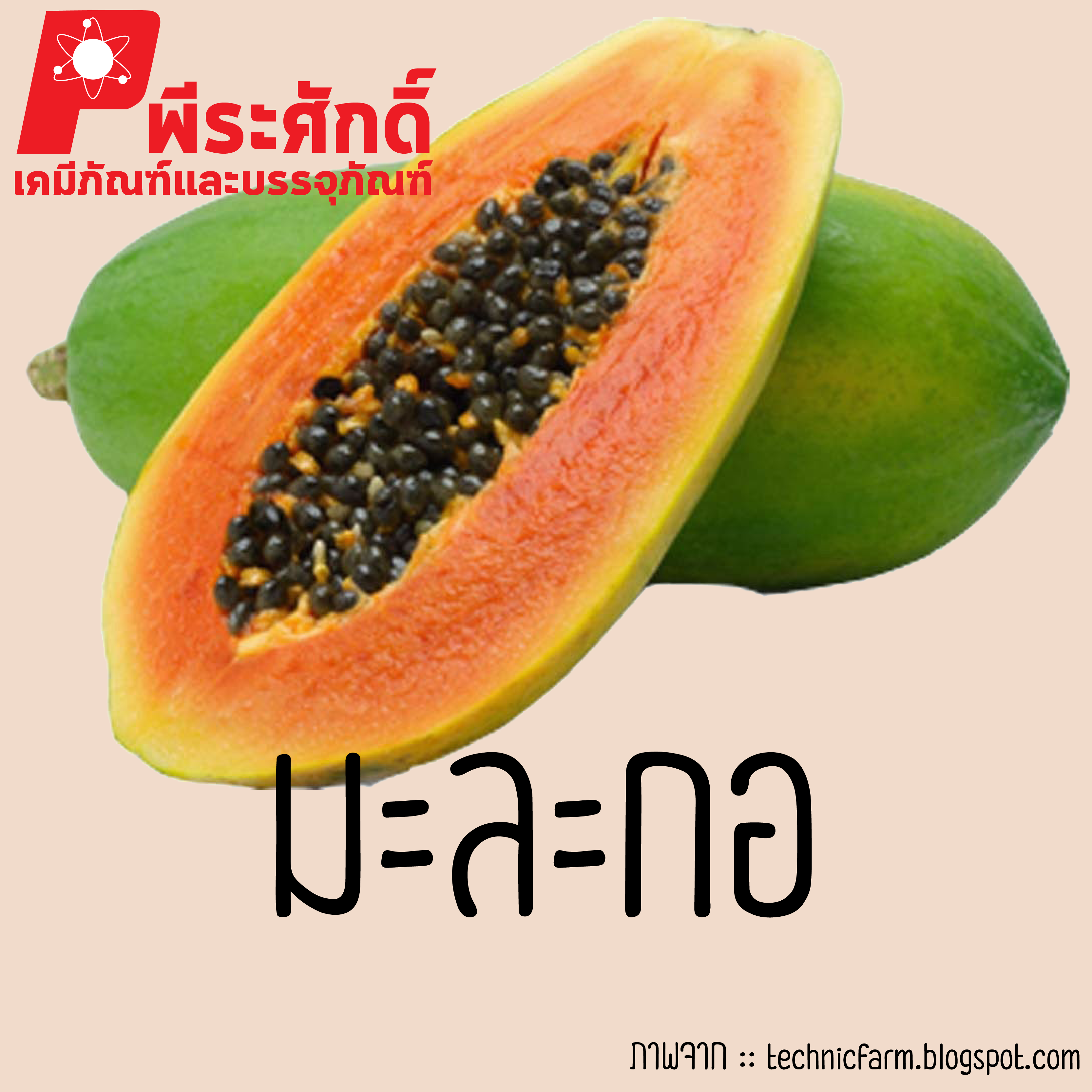 สารสกัดมะละกอ 25 ml