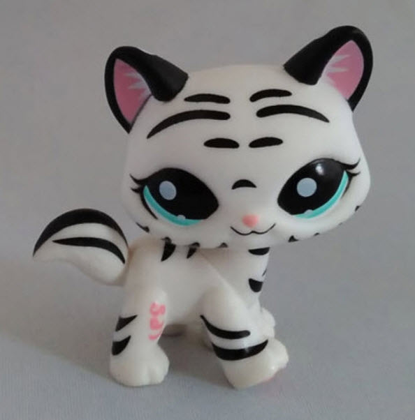 แมวเมนคูน (Naine Coon) สีขาวลายทางดำ ตาสีเขียว