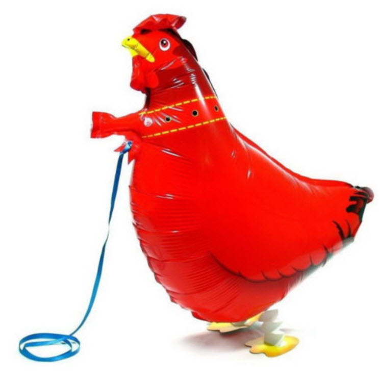 ลูกโป่งไก่เดินได้ / ลูก