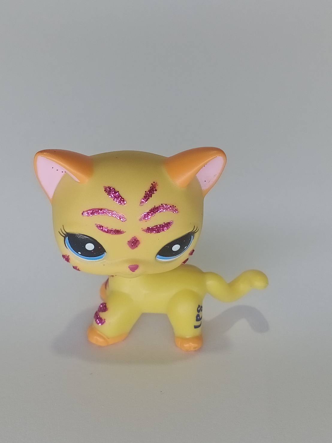 แมว Short Hair สีส้ม ตาสีฟ้า แต่งวิ้งค์