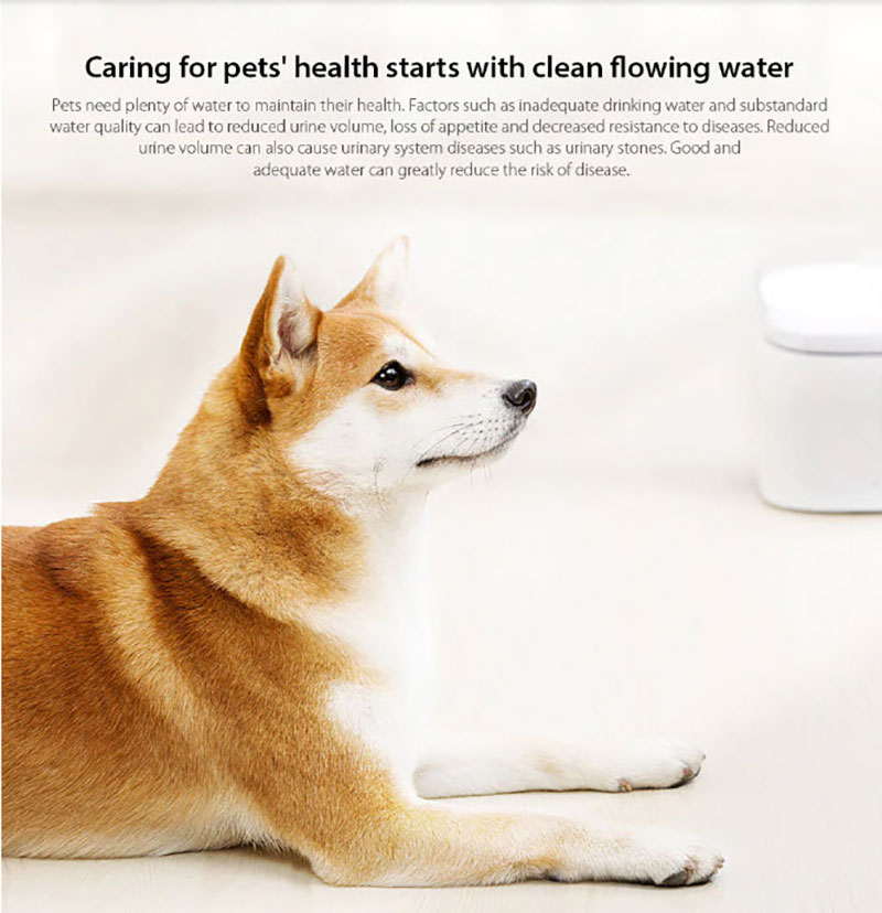 Xiaomi Kitten&Puppy Pet Drinking Fountain - น้ำพุสัตว์เลี้ยง