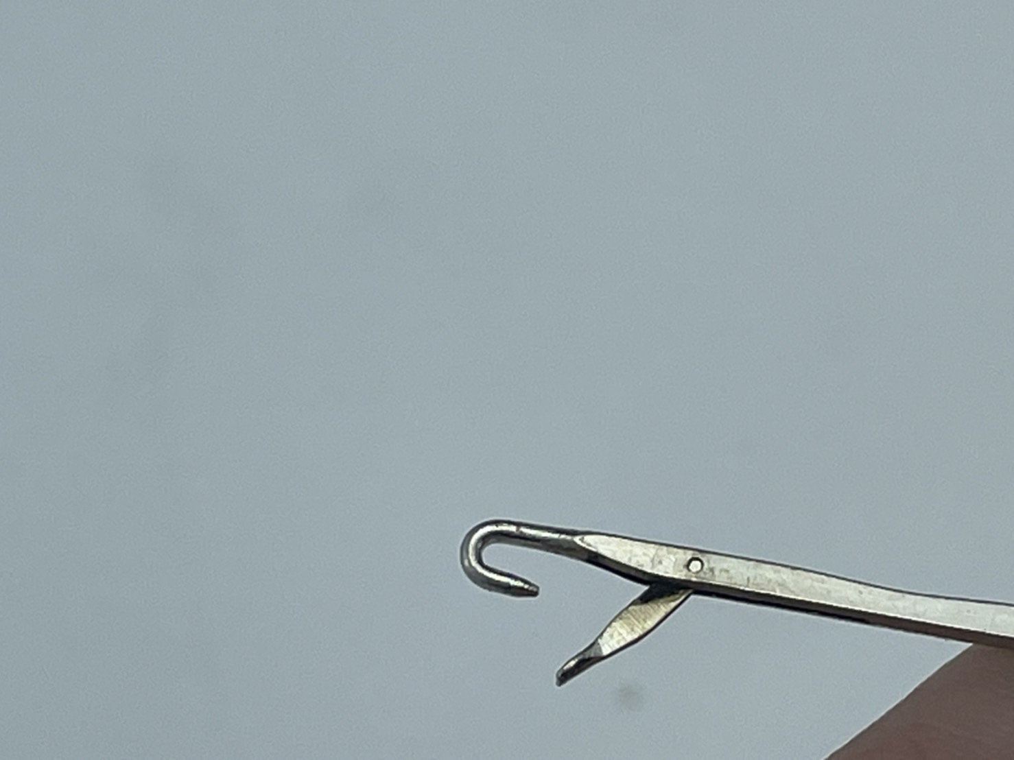 อุปกรณ์กลับไส้ไก่ เข็มกลับไส้ไก่ ที่กลับไส้ไก่ ยาว 26 เซนติเมตร สำหรับใช้กลับไส้ไก่