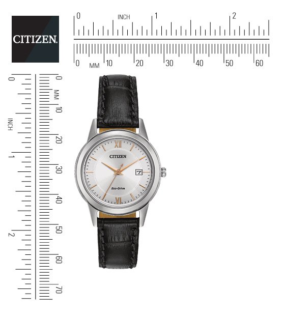 Citizen FE1086-04A นาฬิกาผู้หญิง Eco-Drive Women's Watch