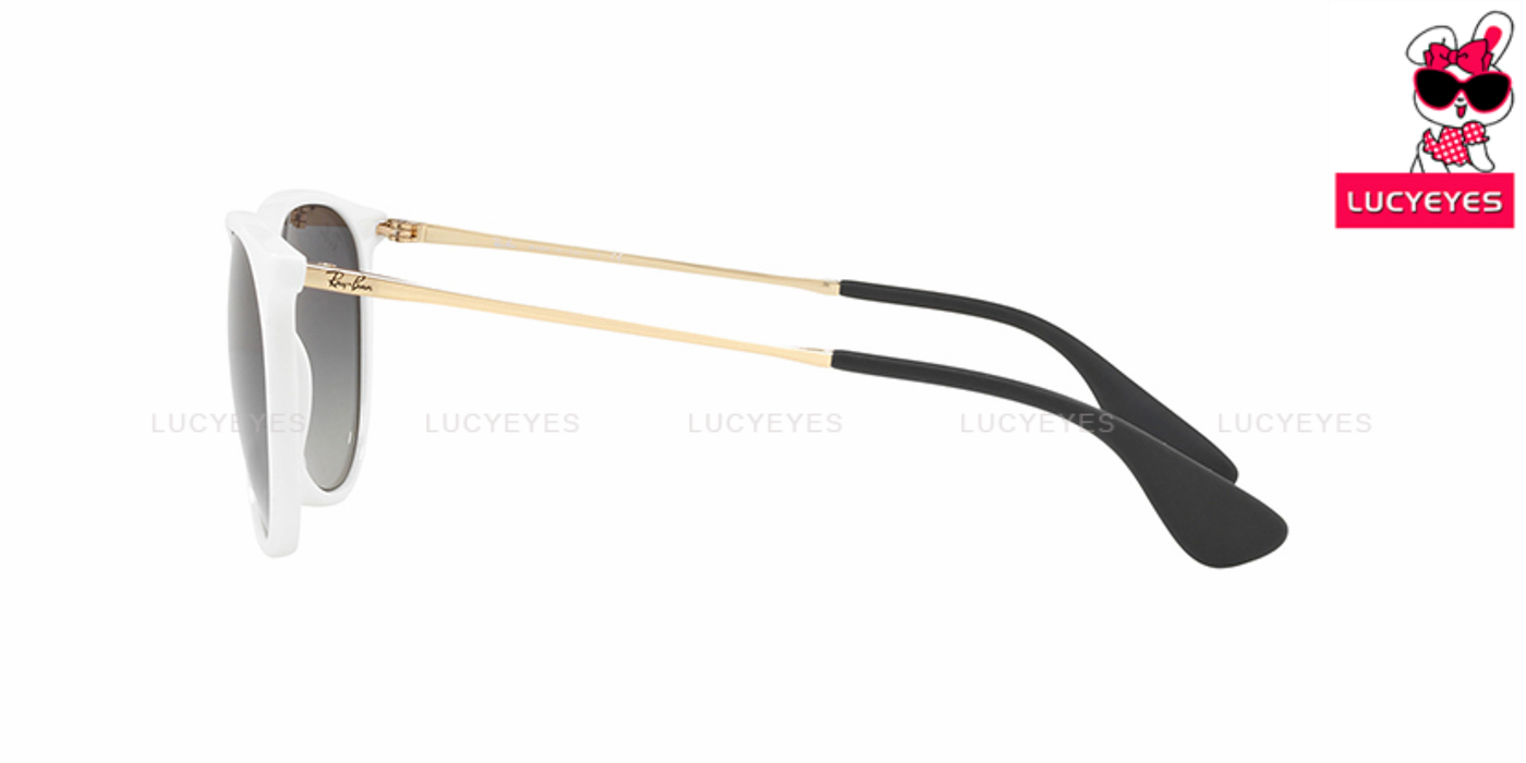 RayBan RB4171F 6314/11 | ERIKA