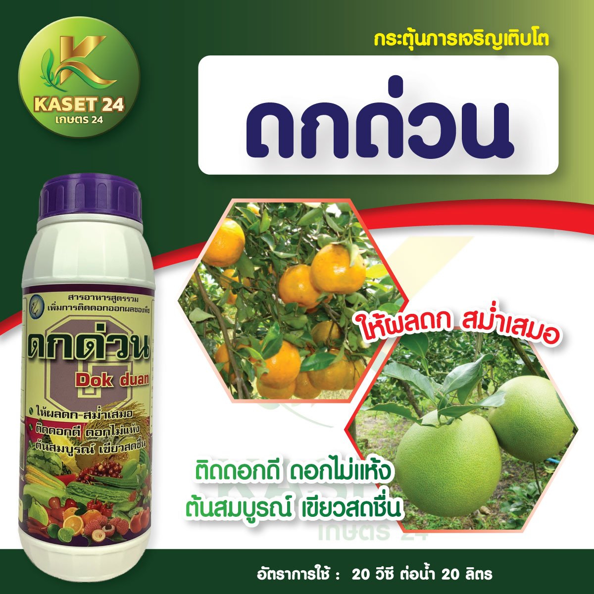 ดกด่วน ธาตุอาหารรวมเข้มข้น บำรุงพืช เพิ่มการเจริญเติบโต สังเคราะห์อาหาร (ขนาด 1 ลิตร) ส่งฟรีเก็บเงินปลายทาง (ไม่บวกเพิ่ม)