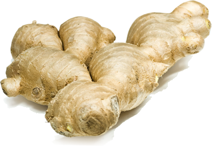 Dehydrated Ginger (ขิงอบแห้ง)