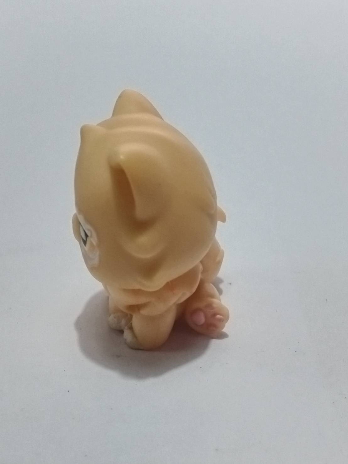 แมวเปอเซีย (Persian cat) สีส้ม แต่งตาวิงค์ (หายากมาก)