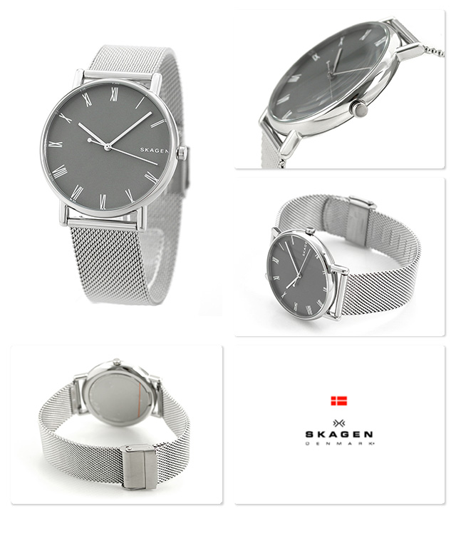 Skagen SKW6428 นาฬิกาผู้ชาย Signatur Steel-Mesh Men's Watch