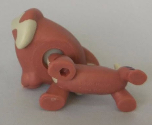 สุนัขดัชชุนด์ สีน้ำตาลทูโทน ตาสีฟ้า (หายากมาก)