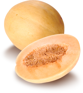 Dehydrated Cantaloupe (แคนตาลูปอบแห้ง)