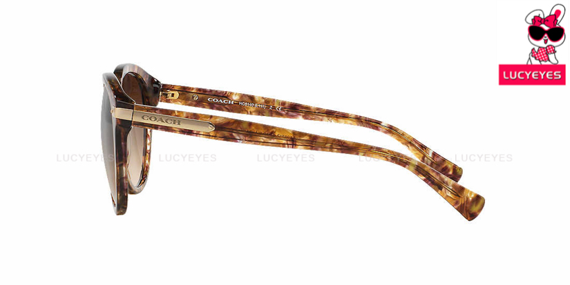 COACH HC8140F 526713