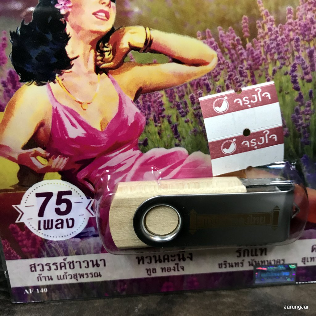 usb เพลงยามเช้า สวรรค์ชาวนา ก้าน แก้วสุพรรณ ทูล ทองใจ วงจันทร์ ปอง ปรีดา mp3 usb แม่ไม้เพลงไทย af 140