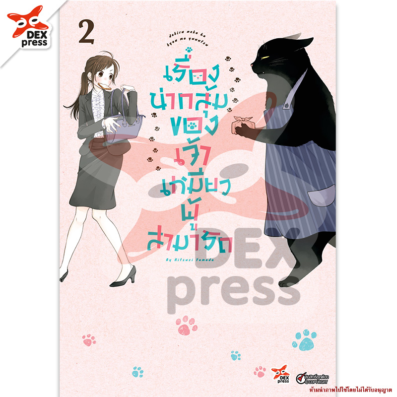 [DEXPRESS] เรื่องน่ากลุ้มของเจ้าเหมียวผู้สามารถ เล่ม 2 ฉบับการ์ตูน