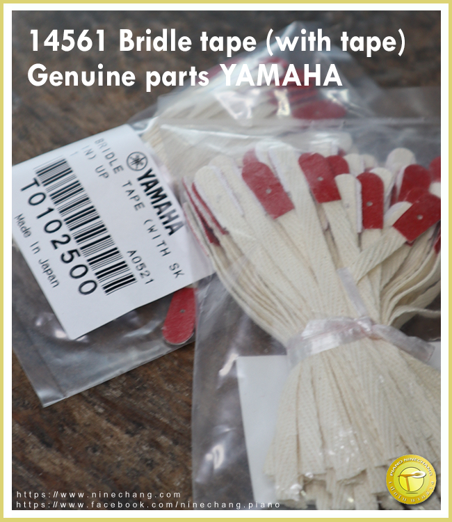 14561 Bridle tape (with tape) UP