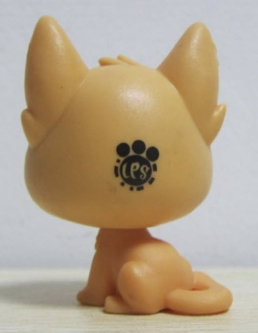 สุนัขนั่งหน้าเศร้า สีน้ำตาล ตาสีฟ้า