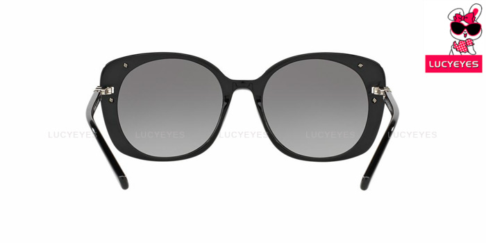 COACH HC8186BF 500211