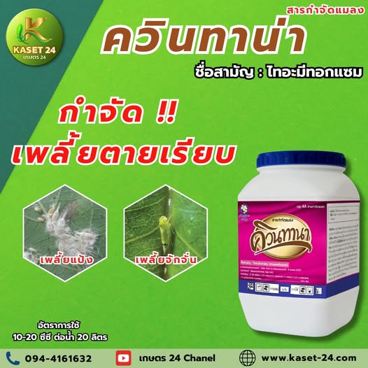 ควินทานา กำจัดเพลี้ย ตายเรียบ!!! ยาเย็น ฉีดผ่าดอกได้ ป็นสารกำจัดแมลงและเพลี้ย หนอนกอ หนอนกระทู้ หนอนม้วนใบ แมลงบั่ว เพลี้ยอ่อน เพลี้ยจักจั่น เพลี้ยแป้ง มวนดอกรัก แมลงวันทอง ตักแตน มอดยาสูบ มอดข้าวสาร ด้วงงวงช้าง และมด ขนาด 500กรัม