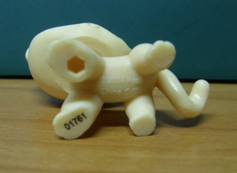 แมว Short hair สีส้มอ่อน ลายดอกไม้คิ้วขวา