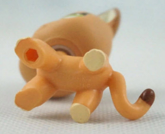 แมว Short Hair สีส้ม ตาสีดำแซมเขียว #1120