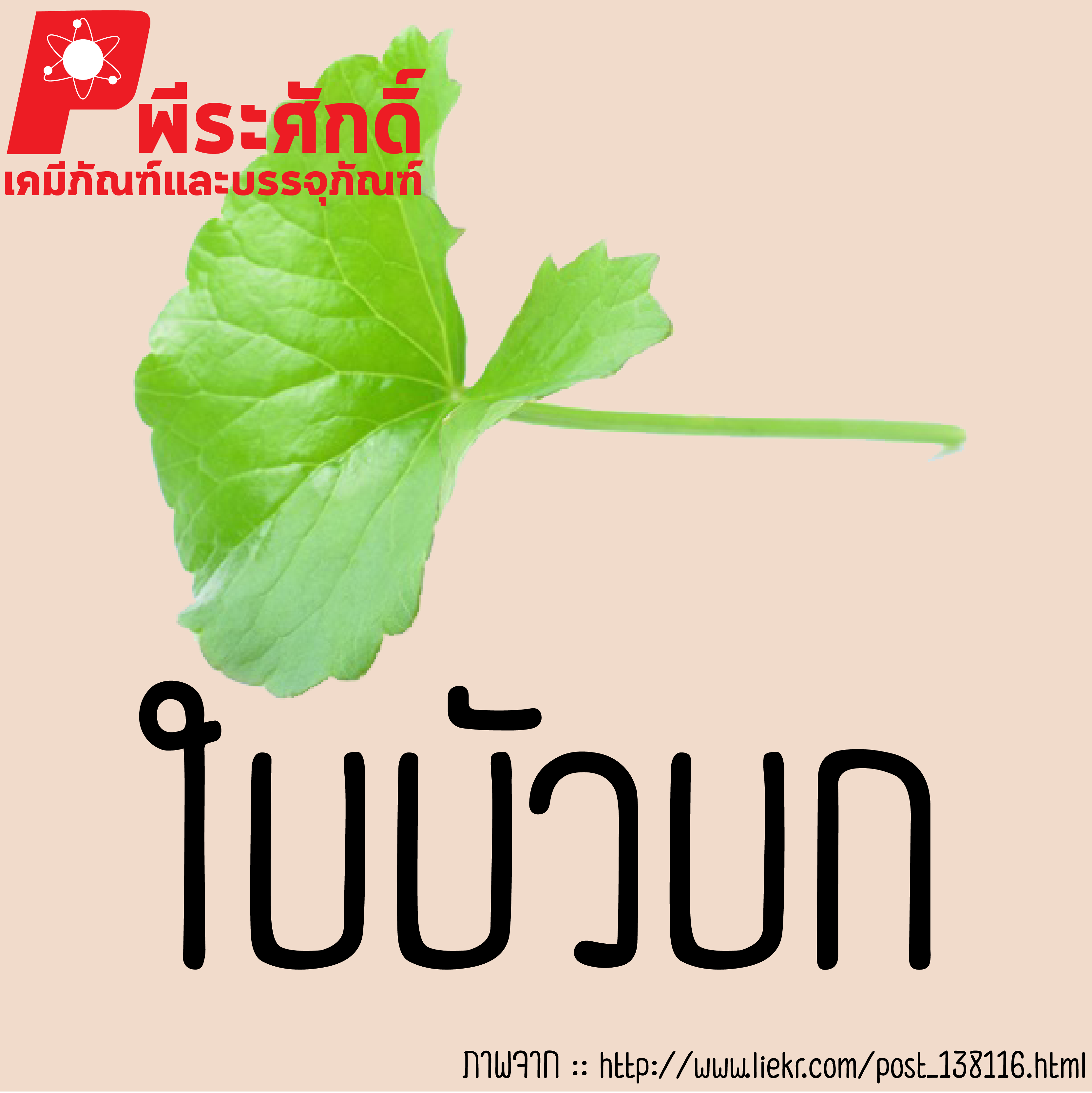 สารสกัดใบบัวบัก 25 ml