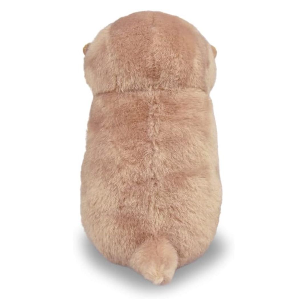 [พร้อมส่ง] ตุ๊กตา น้องนาก ถือปลา นากทะเล Uso-yan Size 8 x 9 x 16 cm นำเข้าจากญี่ปุ่น カワウソうそやんST うそやん おさかな