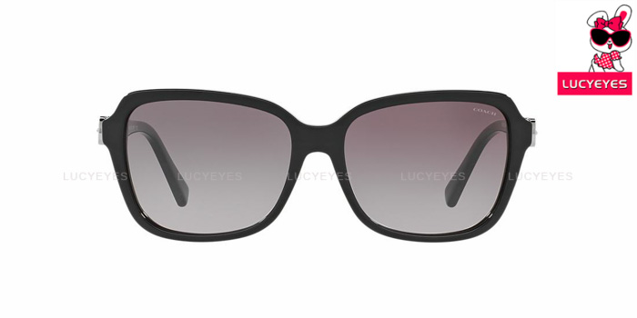 COACH HC8179F 500211