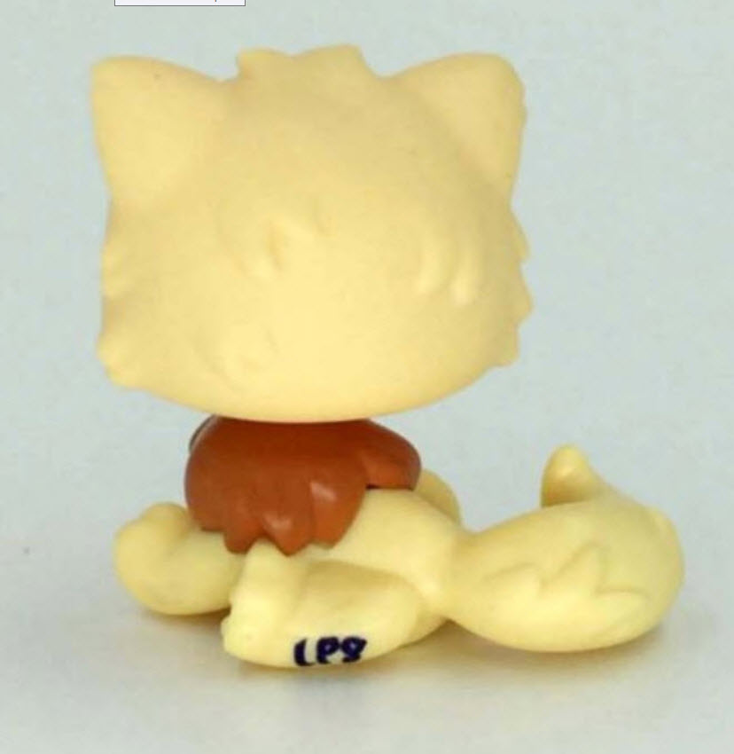 แมวเปอเซีย สีเหลือง คอสีน้ำตาล #463 *