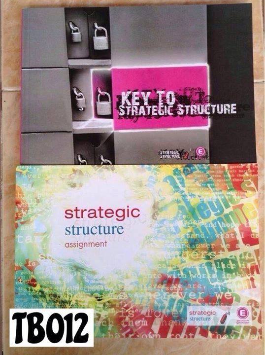 TB012 [Enconcept] strategic structure