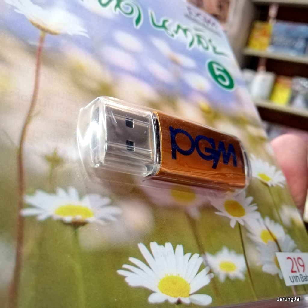 usb หยาด นภาลัย ชุด 5 หรีดรัก พี่รักเธอคนเดียว จะคอยขวัญใจ รักคุณเข้าแล้ว mp3 usb pgm