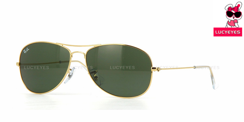 RayBan RB3362 001 COCKPIT