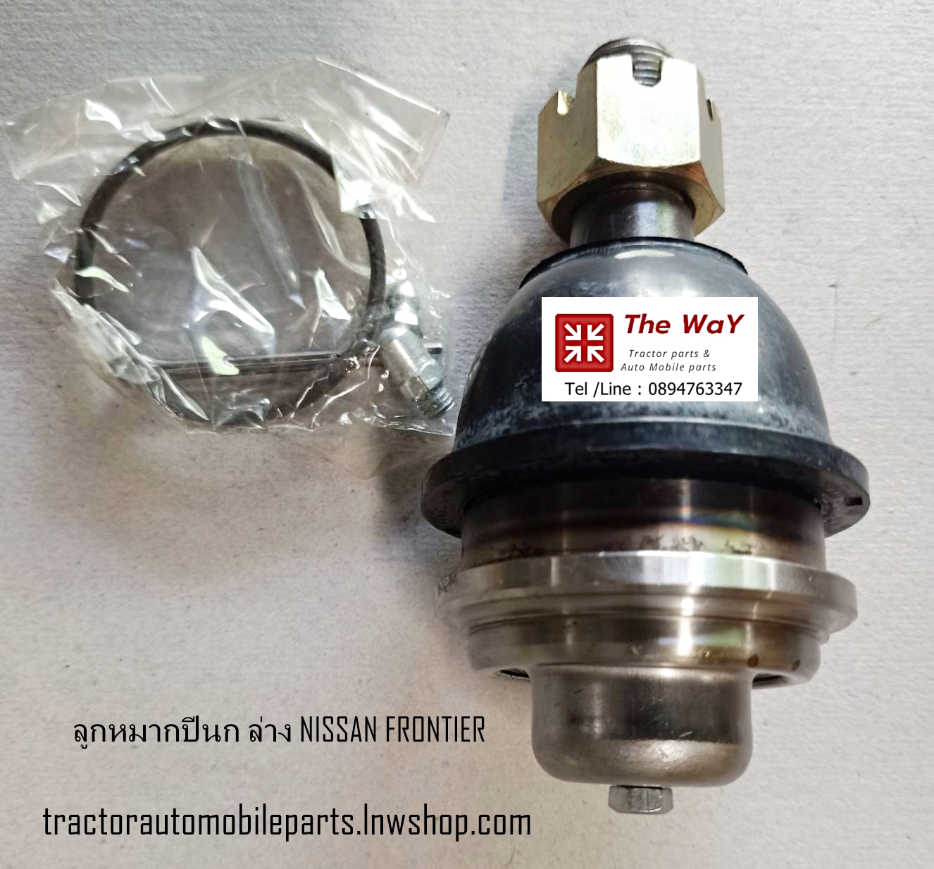 ลูกหมากปีกนก-ล่าง Nissan Frontier อะไหล่รถ ขายคู่ นิสสัน ฟรอนเทียร์