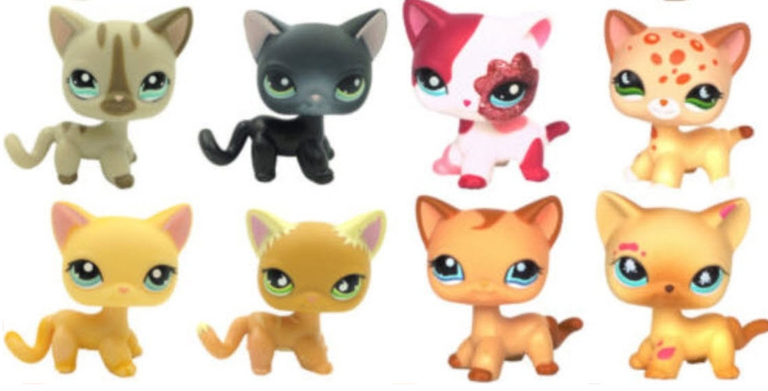 รวมชุดแมวยอดนิยม 16 ตัว