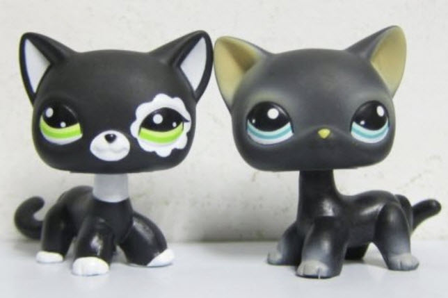 แมวสยาม (Siamese Cat) สีดำ แพ็คคู่ ตัวพิเศษ (#994, #2249)