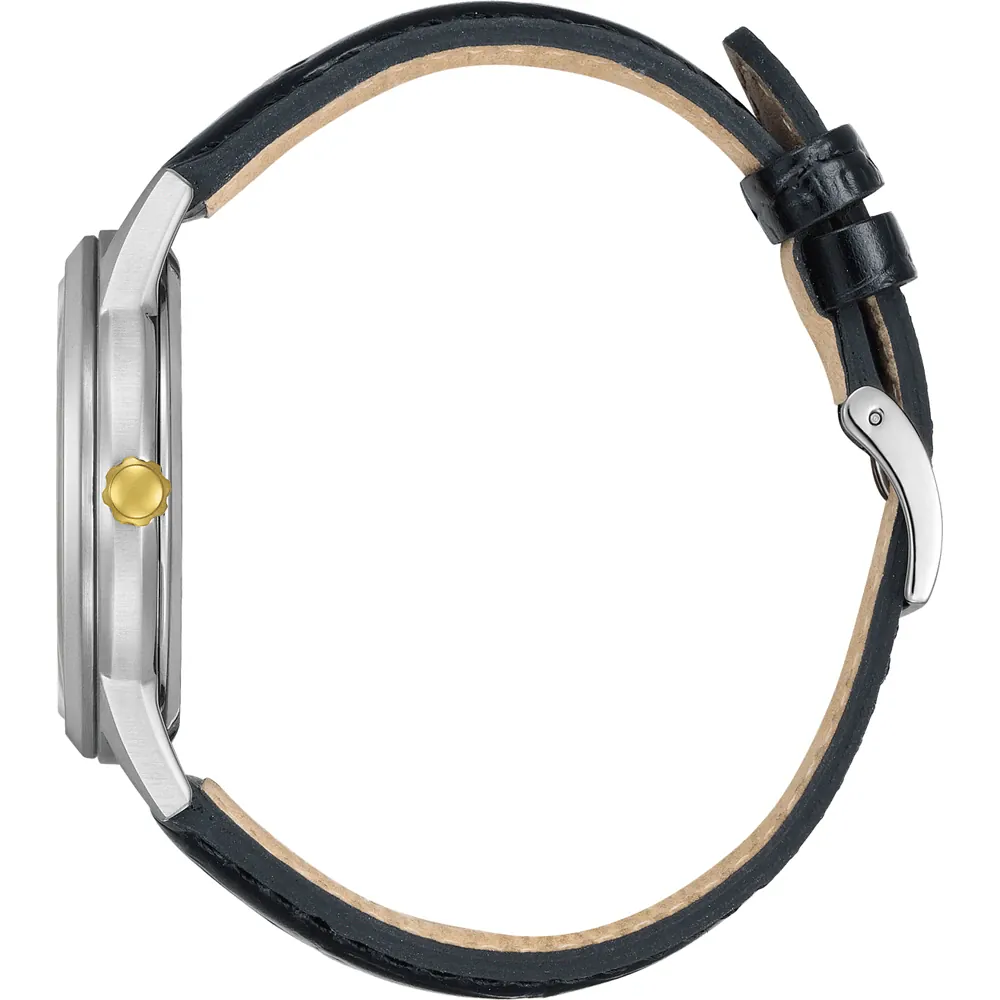 Citizen AW1784-16E นาฬิกาผู้ชาย Eco-Drive Core Collection Men's Watch