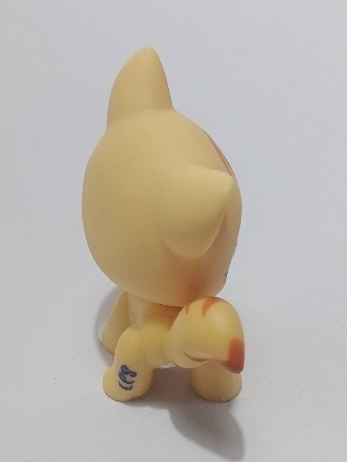 แมว Maine Coon สีน้ำตาล ตาสีฟ้า