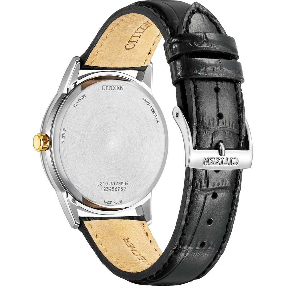 Citizen AW1784-16E นาฬิกาผู้ชาย Eco-Drive Core Collection Men's Watch