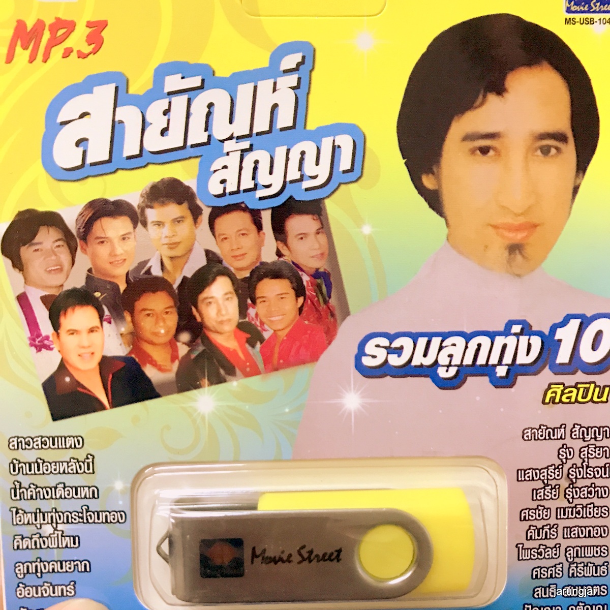 usb สายัณห์ สัญญา รวมลูกทุ่ง 10 ศิลปิน กลับเถิดเรียมจ๋า ไม่มีใครรักจริง mp3 usb ms