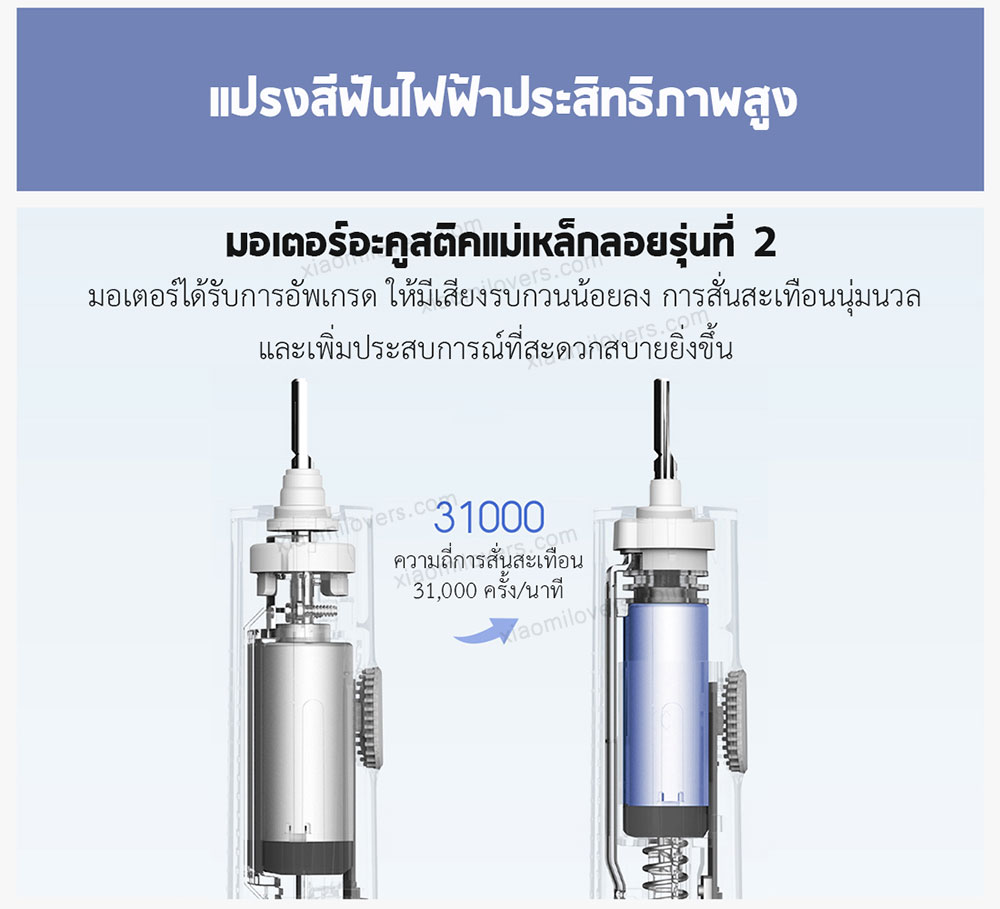 Xiaomi Sonic Electric Toothbrush T500C - แปรงสีฟันไฟฟ้าเสี่ยวหมี่ T500C