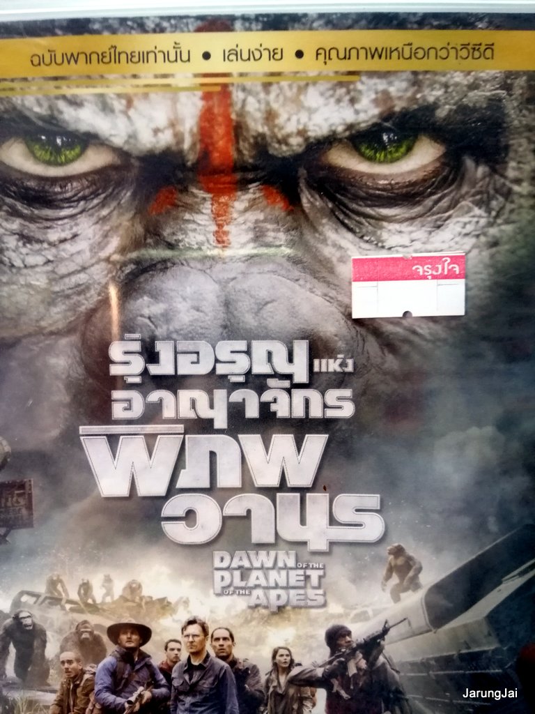 dvd หนัง dawn of the planet of the apes รุ่งอรุณแห่งอาณาจักรพิภพวานร thai