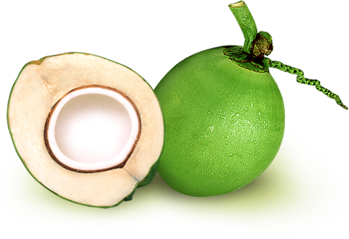Dehydrated Coconut (มะพร้าวอบแห้ง)