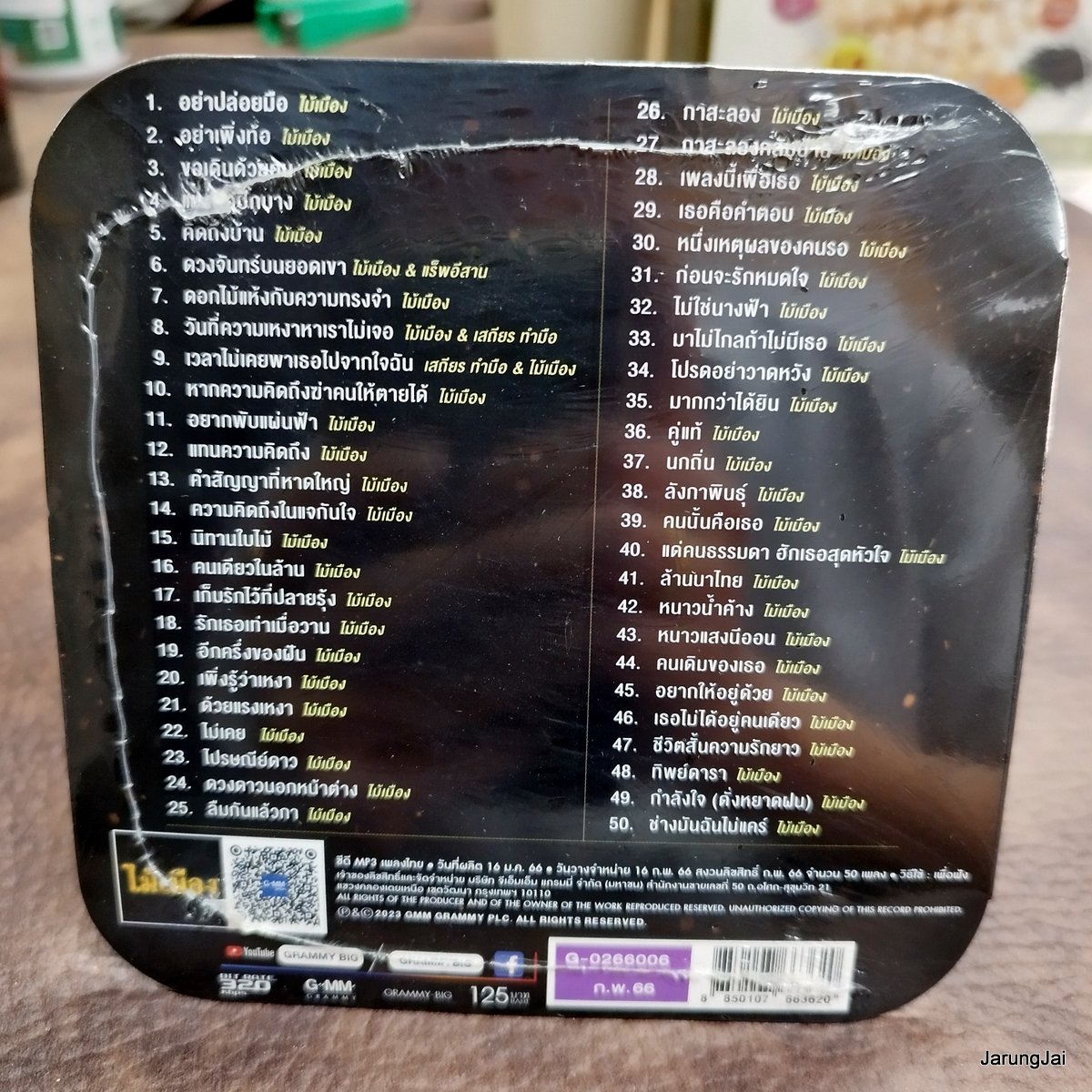 mp3 ไม้เมือง อย่าปล่อยมือ อย่าเพิ่งทอ้ ขอเดินด้วยคน cd mp3 gmm ลูกทุ่งไทย ไมค์เลี่ยมทอง