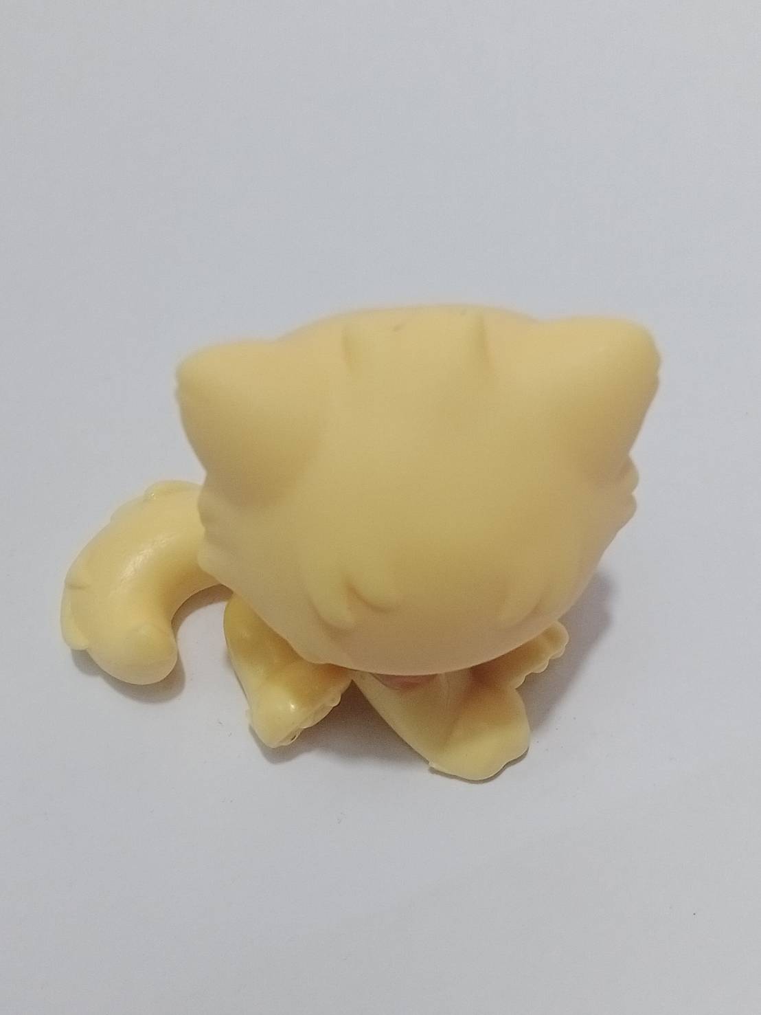 แมวเปอเซีย สีเหลือง คอสีน้ำตาล #463 *