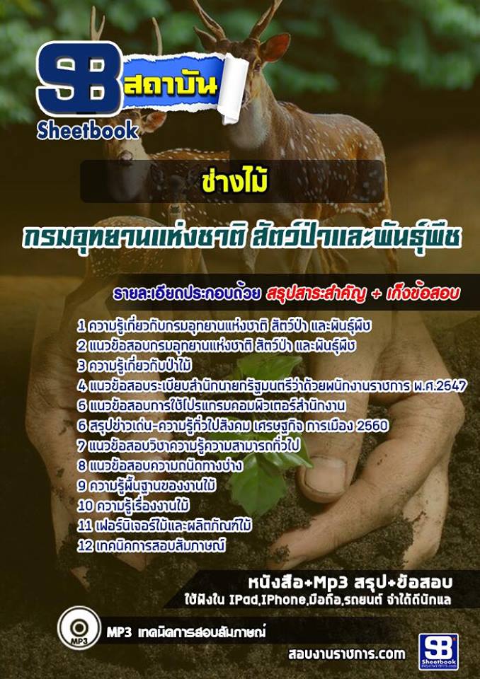 แนวข้อสอบช่างไม้ กรมอุทยานแห่งชาติ สัตว์ป่าและพันธุ์พืช 2568