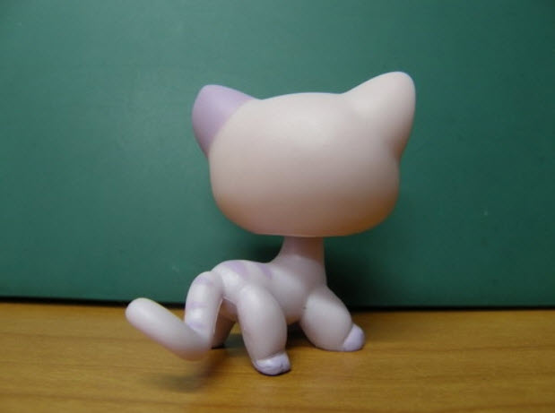 แมว Short hair สีม่วง แต่งวิ้งค์ (หายาก)