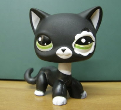 แมวพันธุ์ขนสั้้นสีดำ (Short Hair Cat) #2249