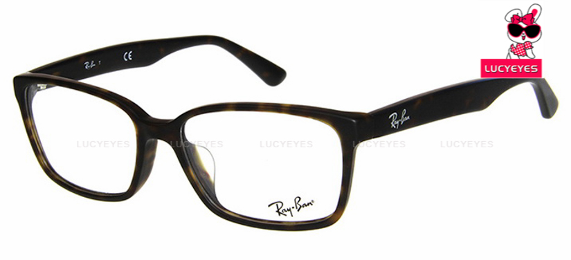 RayBan RX5290D 2012
