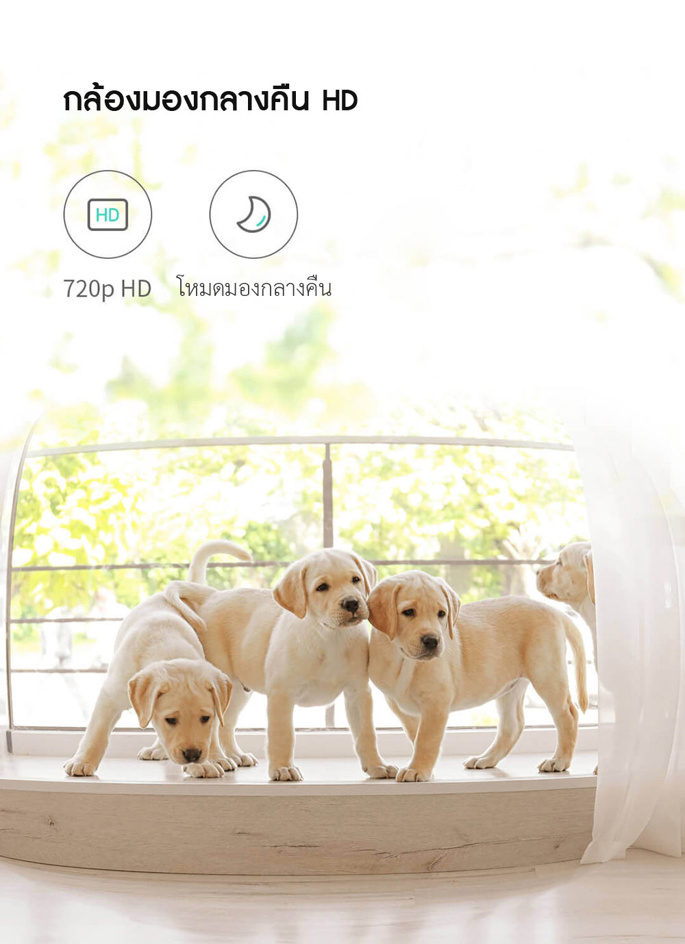 Xiaomi PETONEER Smart Visual Pet Feeder - เครื่องให้อาหารสัตว์อัจฉริยะ
