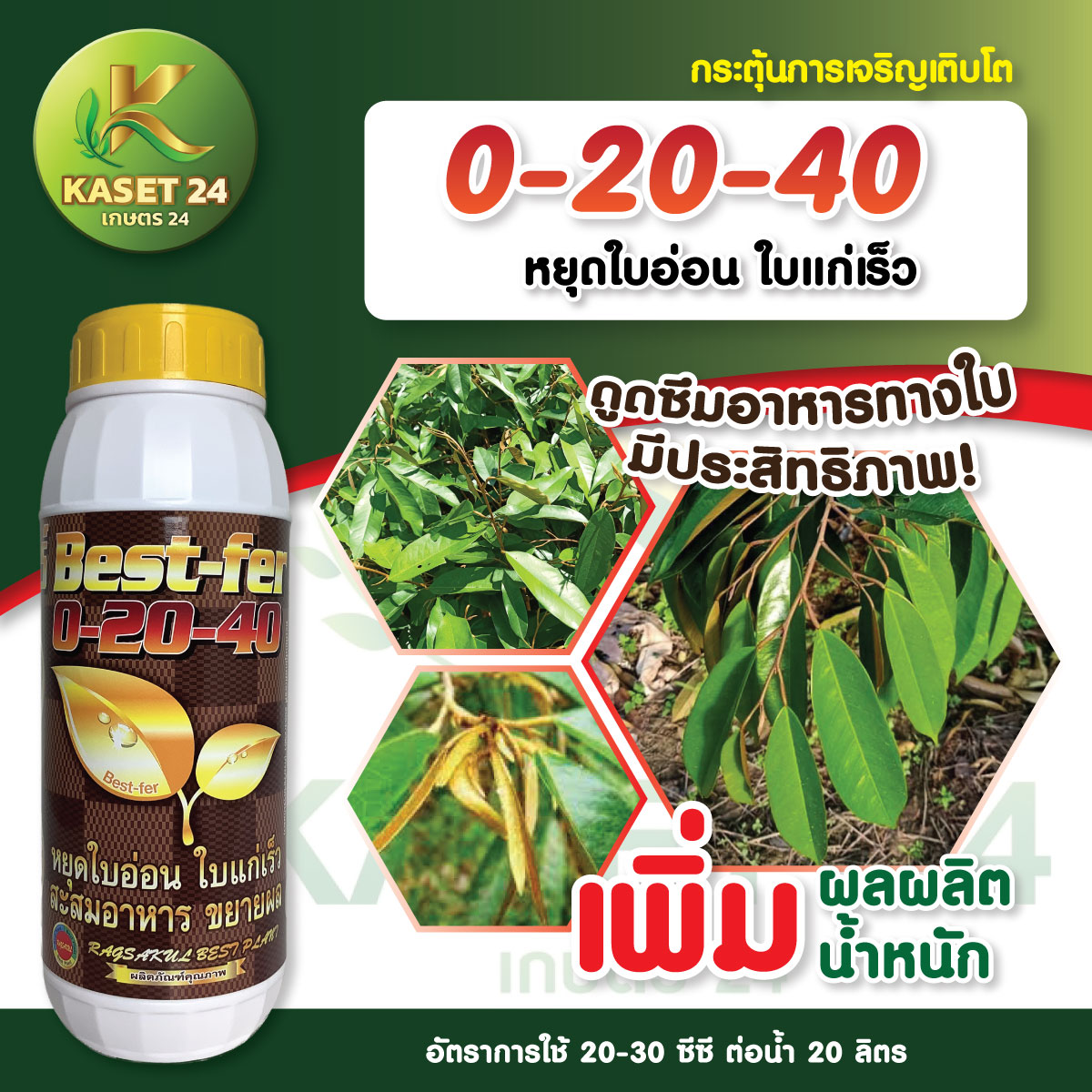 ปุ๋ยน้ำ เบสเฟอร์ สูตร 0-20-40 สูตรเข้มข้น ปุ๋ยน้ำเกรดพรีเมียมช่วยลดการแตกใบอ่อน ขยายขนาด เพิ่มผลผลิต เพิ่มน้ำหนัก เพิ่มเปอร์เซ็นแป้ง (ขนาด 1 ลิตร) ส่งฟรีเก็บเงินปลายทาง (ไม่บวกเพิ่ม)