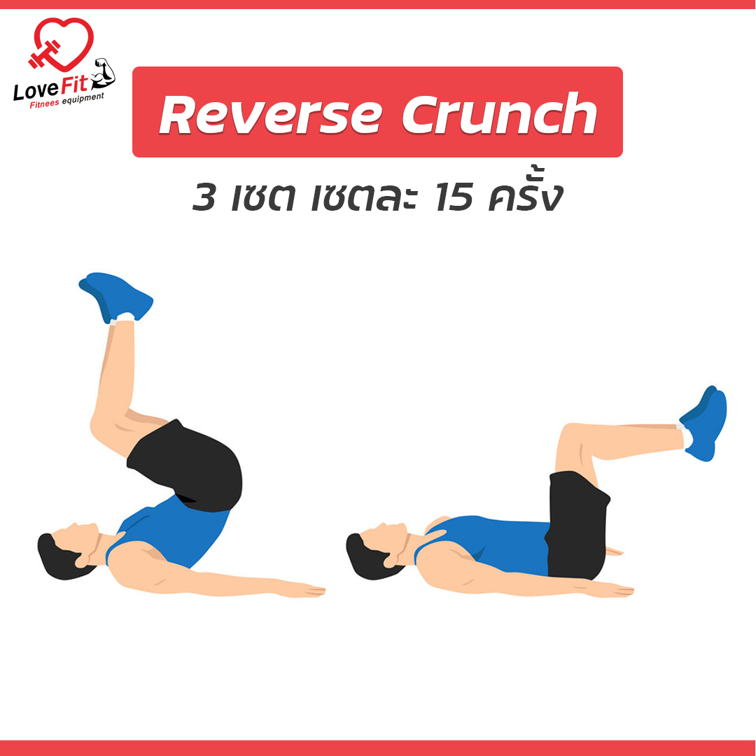 ดัมเบล , dumbbell , บาร์เบล , ชุดดัมเบล , ดัมเบลราคาถูก, ดัมเบลยาง, ดัมเบลเหล็ก , ดัมเบลมือสอง , ดัมเบลราคา , ดัมเบลยี่ห้อไหนดี